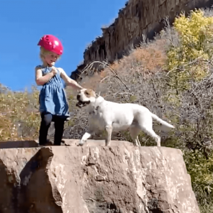 girl on a big rock petting a dog