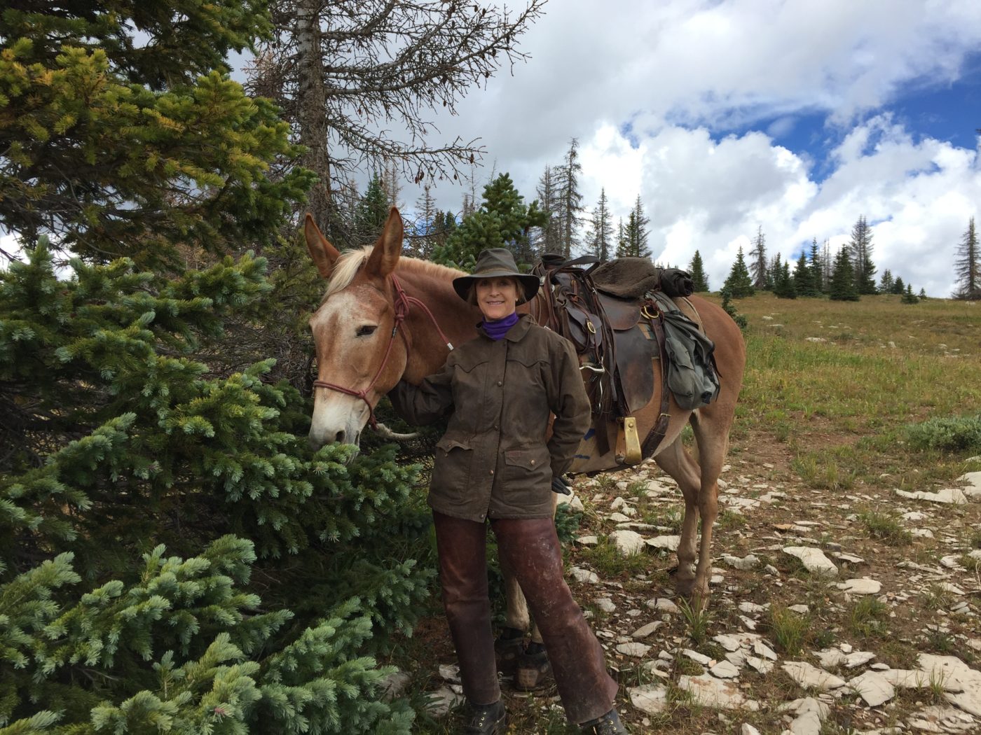 Dr. Karlene Stange with a horse 