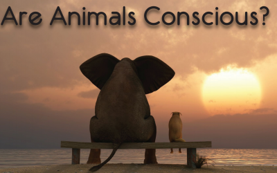 Are Animals Conscious?